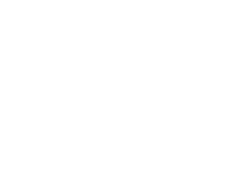 FannFann Logo